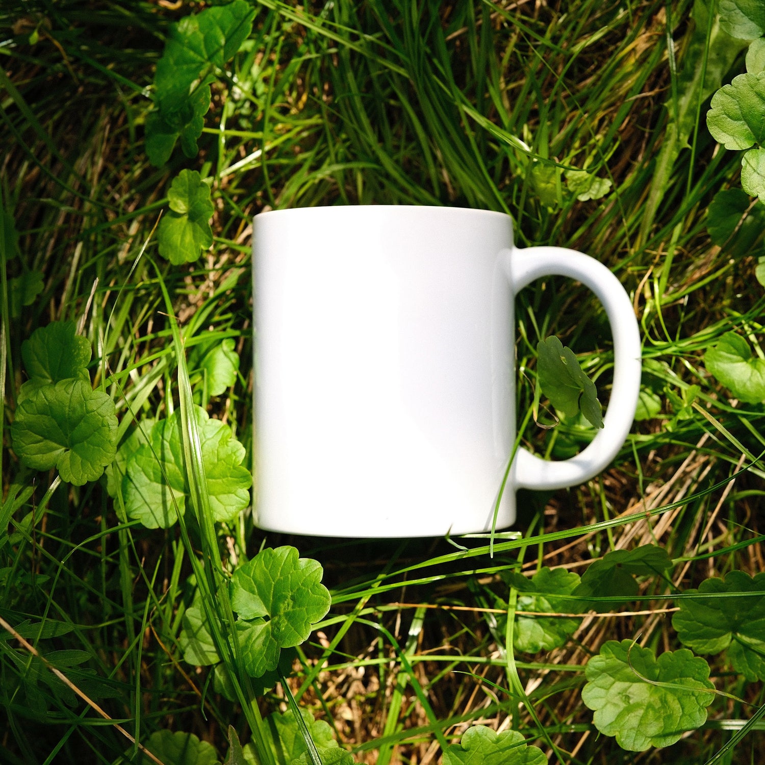 ☕ CANECAS PERSONALIZADAS